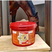 Horse Digestion Supplement Kevin Bacon's