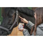 Healing gel for horses Leovet Propolis First Aid