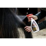 Detangling spray for horses Leovet Power Noix