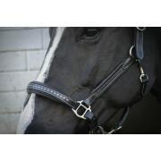 Leather halter for thoroughbreds Pénélope Point Sellier
