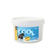 Refreshing gel for horses NAF Ice Cool