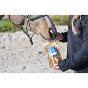 Crackers for horse locomotion turmeric Natural Innov Natural'Crackers Moov - 300 g
