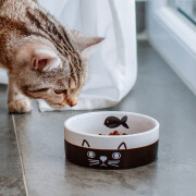 Ceramic cat bowl Nobby Pet Face
