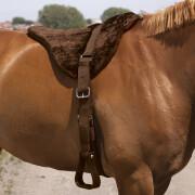 Saddle pad for bareback riding horses Norton