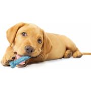 Dog toy Nylabone Puppy Teething Dental Chew - Pink Chicken XS