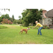 Anti-runaway fence for dogs PetSafe Stay&Play