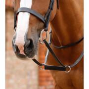 Martingale for horse Premier Equine Esperia Irish