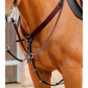 Martingale for horse Premier Equine Baressa