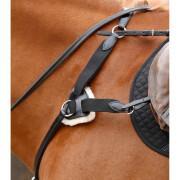 Hunting collar for horse 5 points Premier Equine Invorio