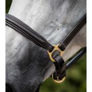 Leather padded horse halter Premier Equine