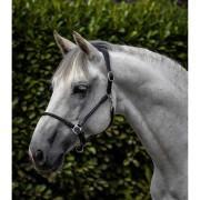 Anatomical horse halter rolled in leather Premier Equine Hennaroso