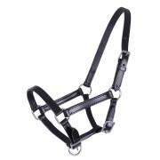 Leather halter for foal QHP Chico