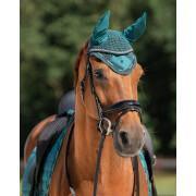 Horse hat QHP Denver