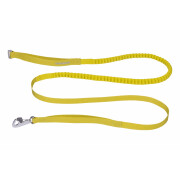 Dog leash and harness with belt for man Ruffwear Omnijore