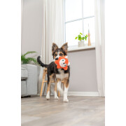 Round fox plush toy for dogs Trixie (x2)